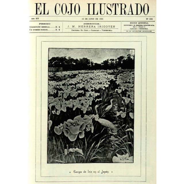El Cojo Ilustrado N°324