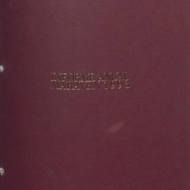 Informe anual 1993