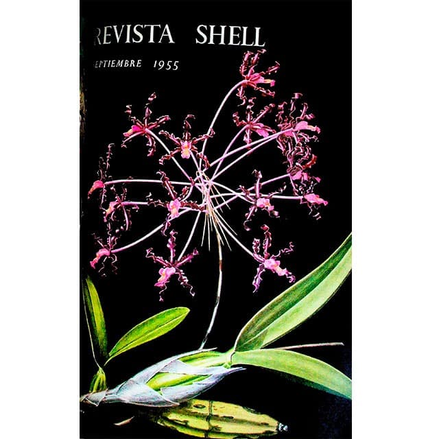Revista Shell No. 16 septiembre 1955 Revista Shell No. 16 septiembre 1955